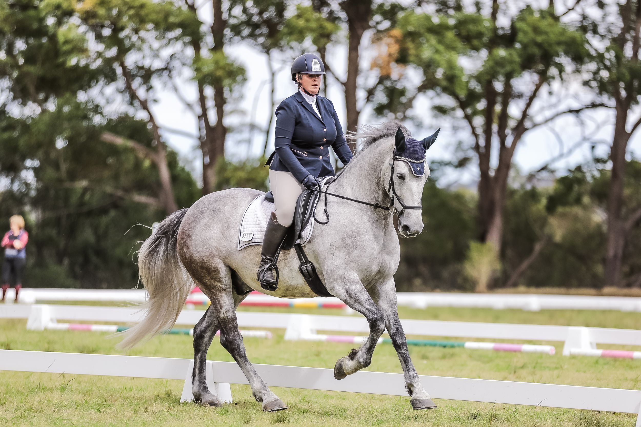 Equestrian photography.