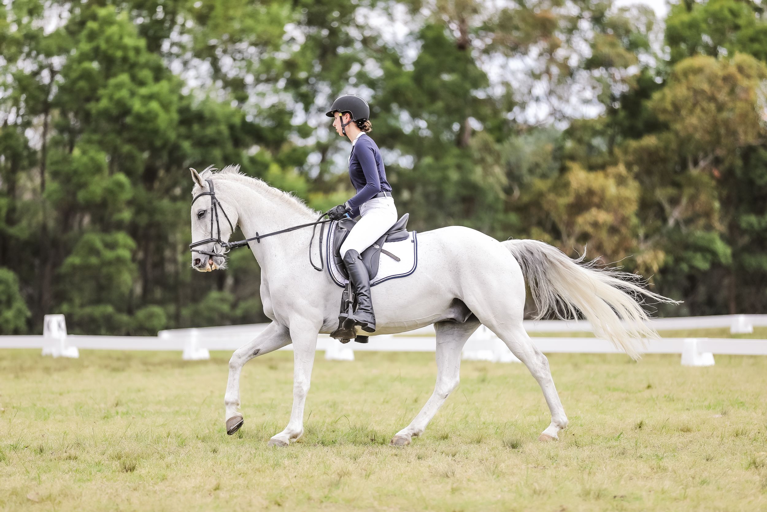 Equestrian photography.