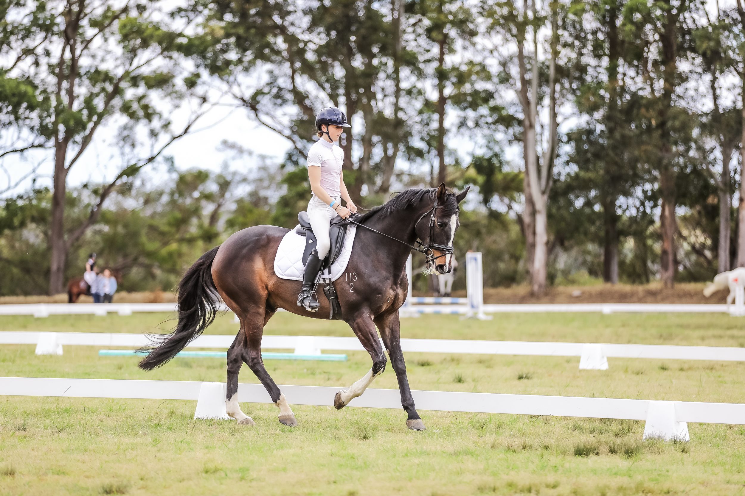 Equestrian photography.