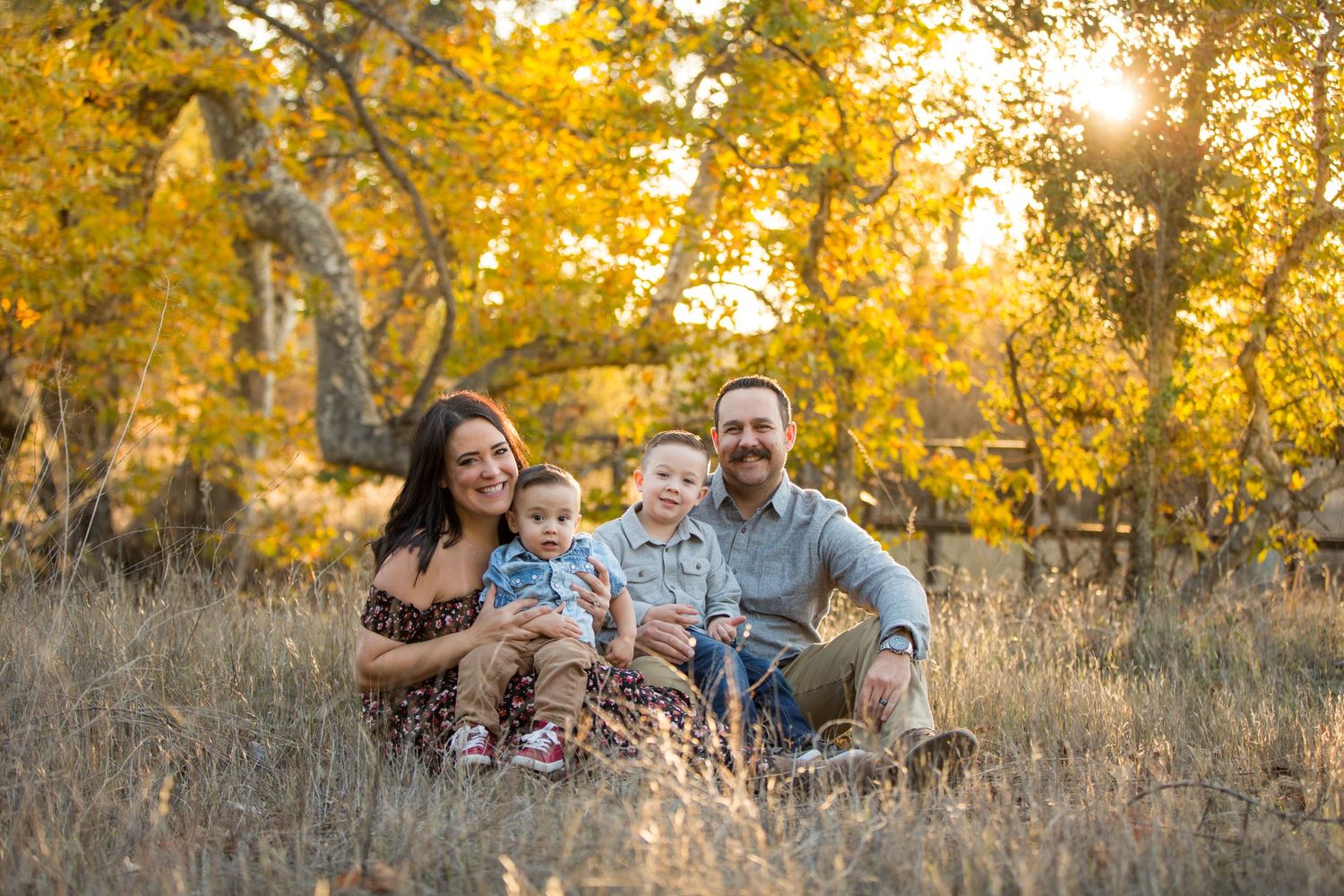 A family sits together in a sun-drenched autumn field surrounded by golden foliage.