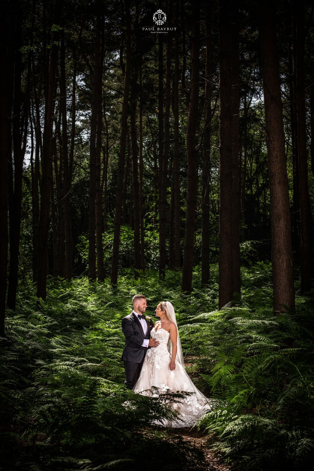 A wedding couple stands surrounded by tall evergreen trees and lush ferns in a dramatic forest setting.