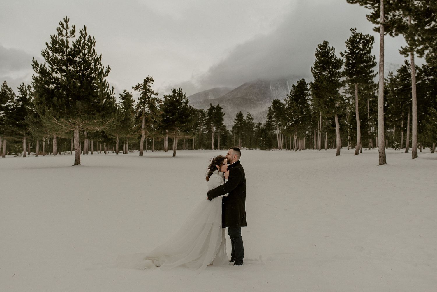 Wedding couple stands together in snowy mountain landscape with evergreen trees.