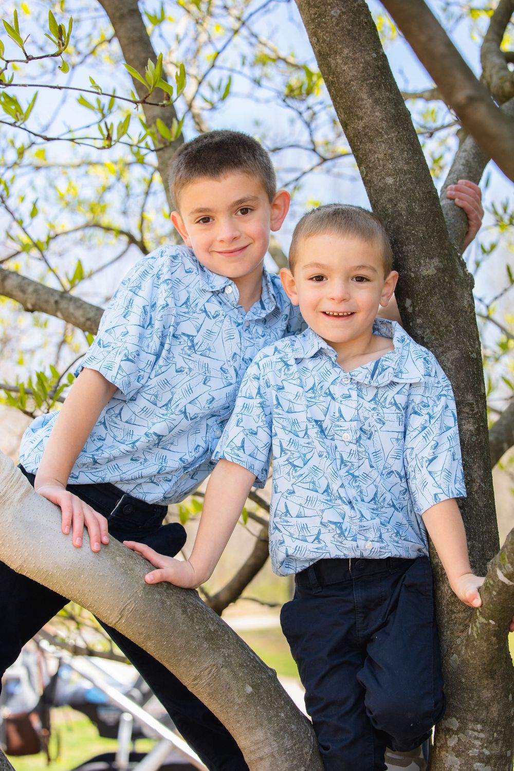 St. Louis Family Photographer carly scaduto photography