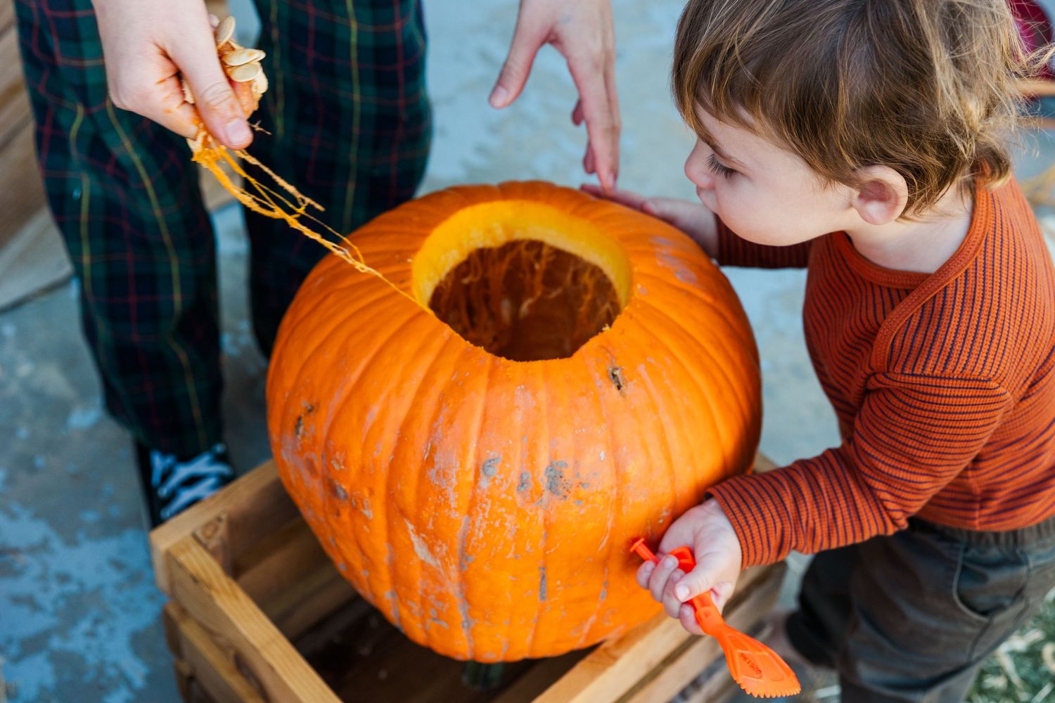 Close-up of hands scooping out pumpkin innards during carving activity.