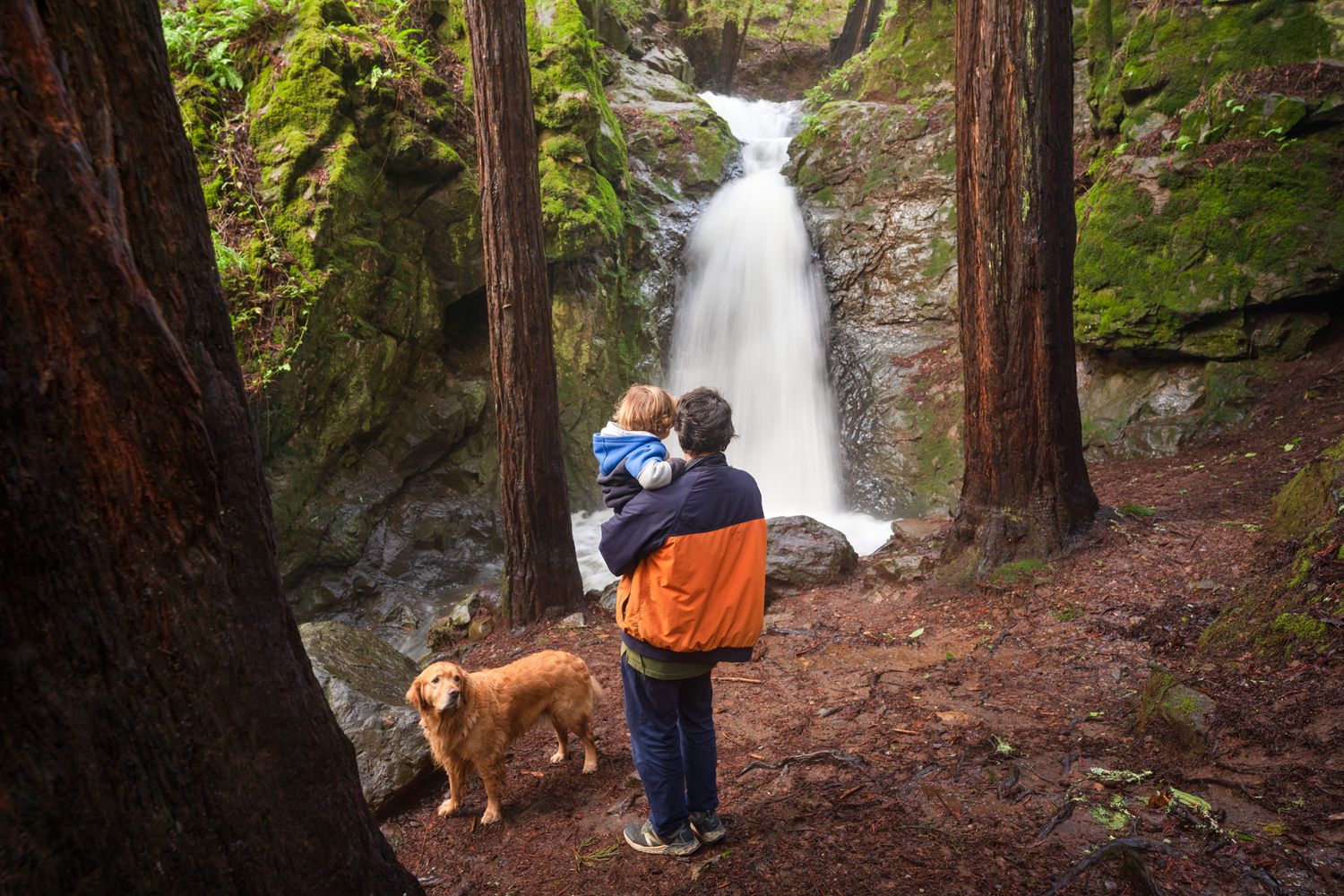 A scenic waterfall flows between towering trees while visitors and their dog enjoy the view.