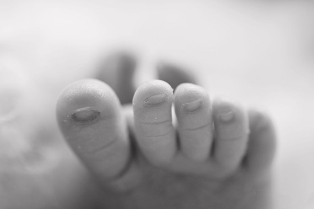 Close-up black and white photograph of tiny baby toes in soft focus.