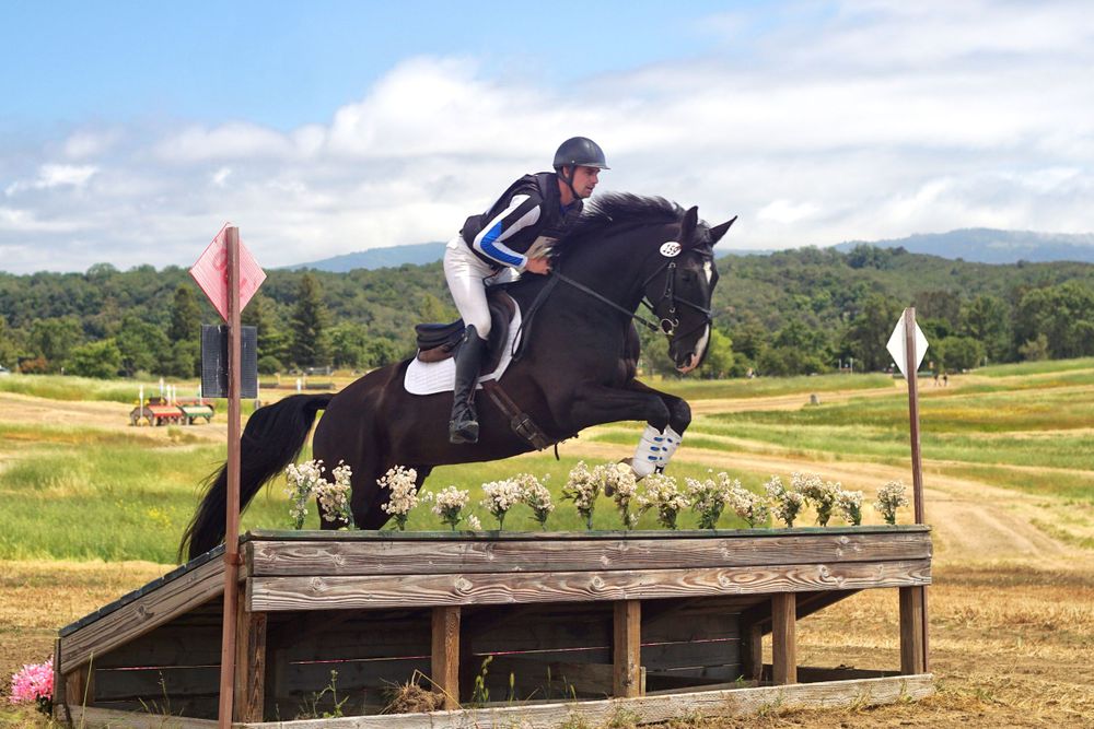 Cross Country stage of Three Day Eventining, Woodside
