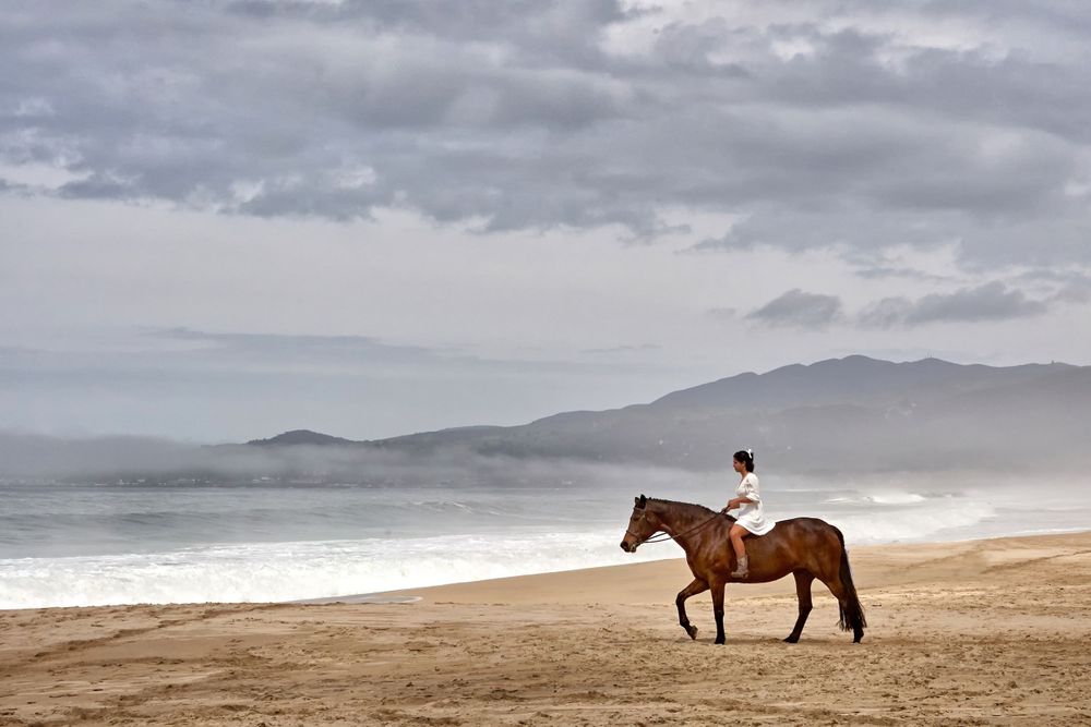 Foggy morning on the beach with a horse