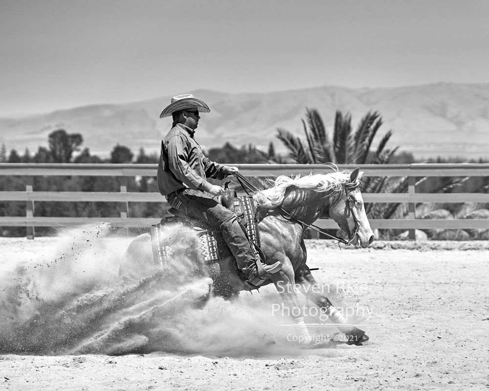 Reining By the Bay, Woodside