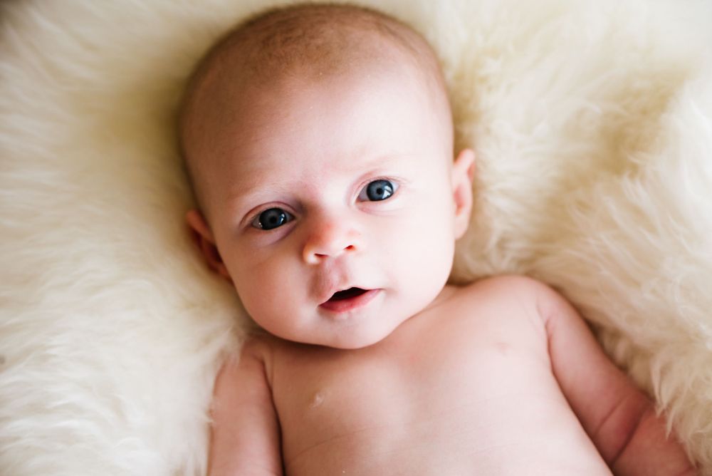 Brooke Moulton Photography | Lifestyle Photography | Fort Collins, Colorado