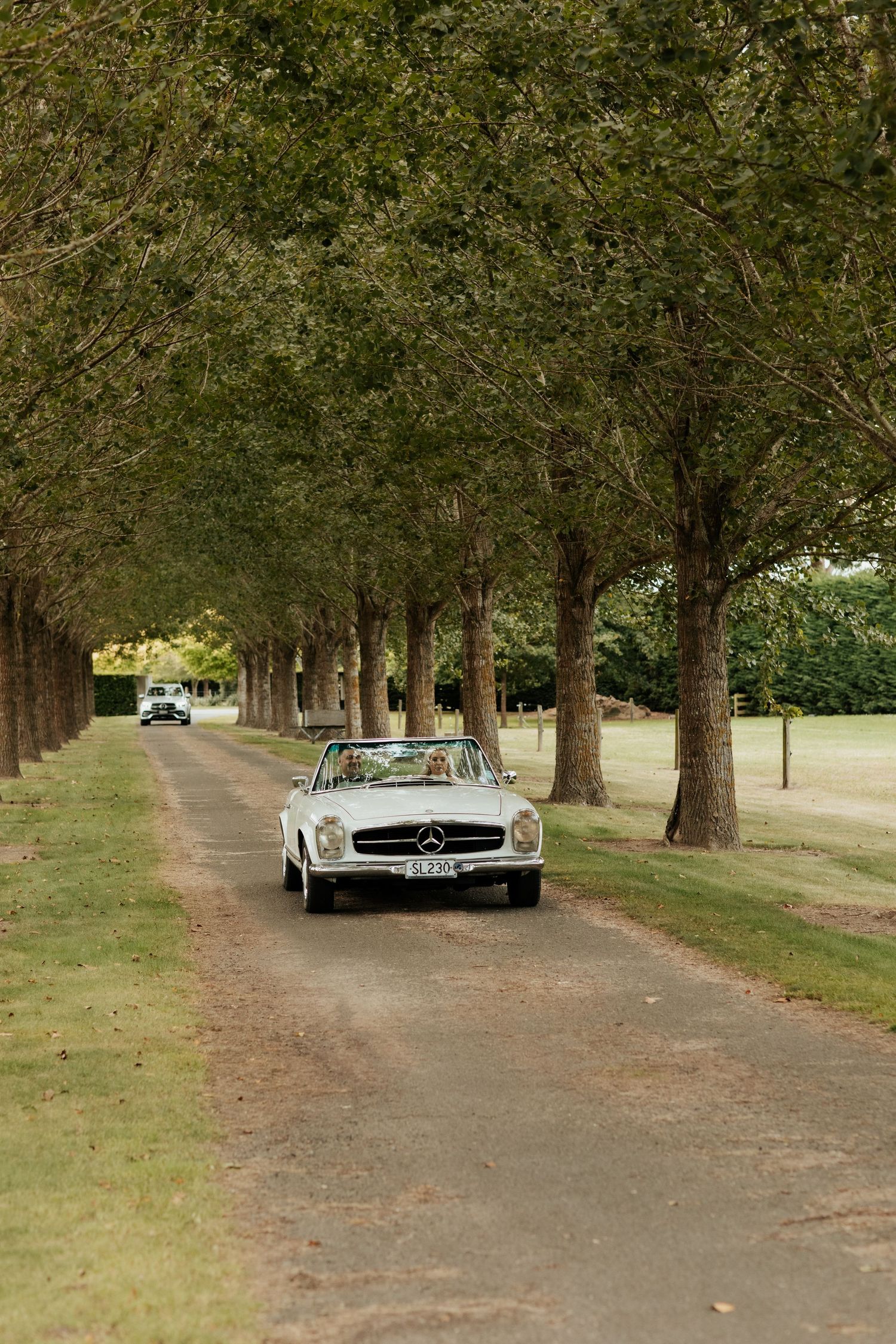 Classic white Mercedes-Benz convertible driving down tree-lined path.