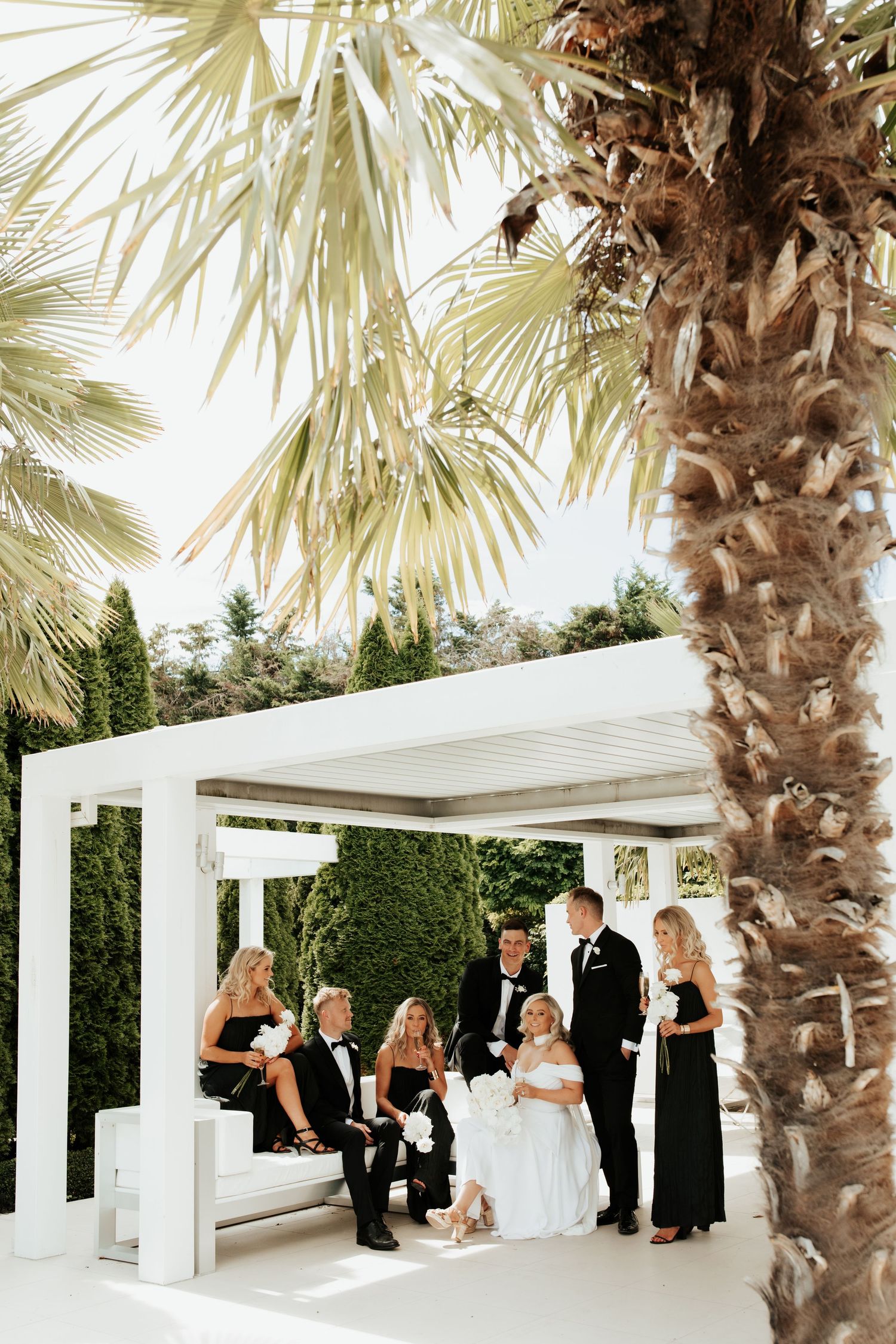 Palm tree frames elegant wedding party photo under white pergola.