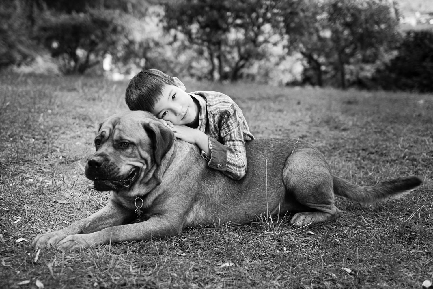 A portrait of a boy and his dog, Barcelona
