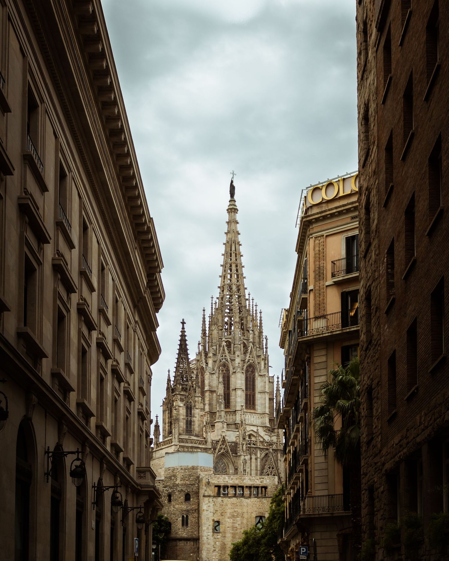 Barcelona Cathedral (Barcelona - 2019)