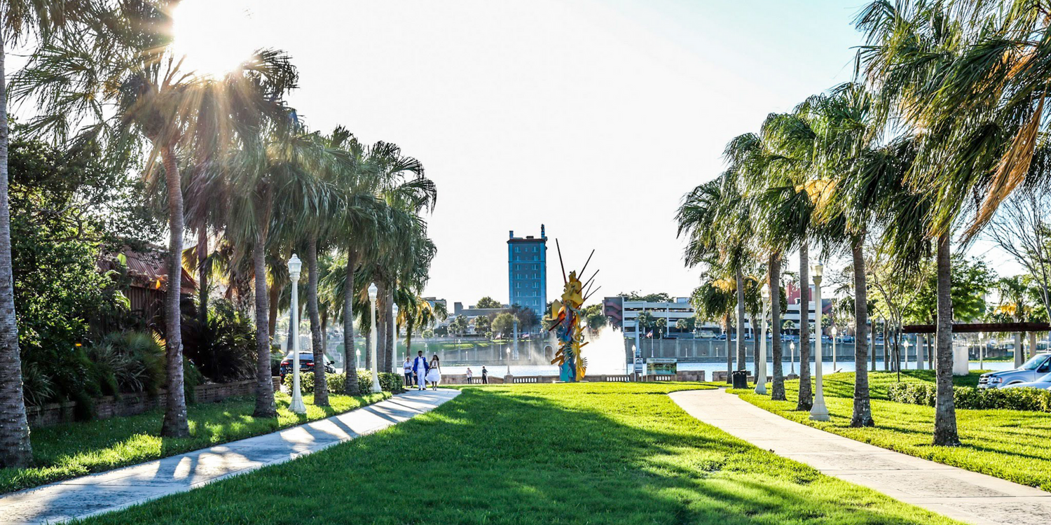 panaramic lake view with palm trees