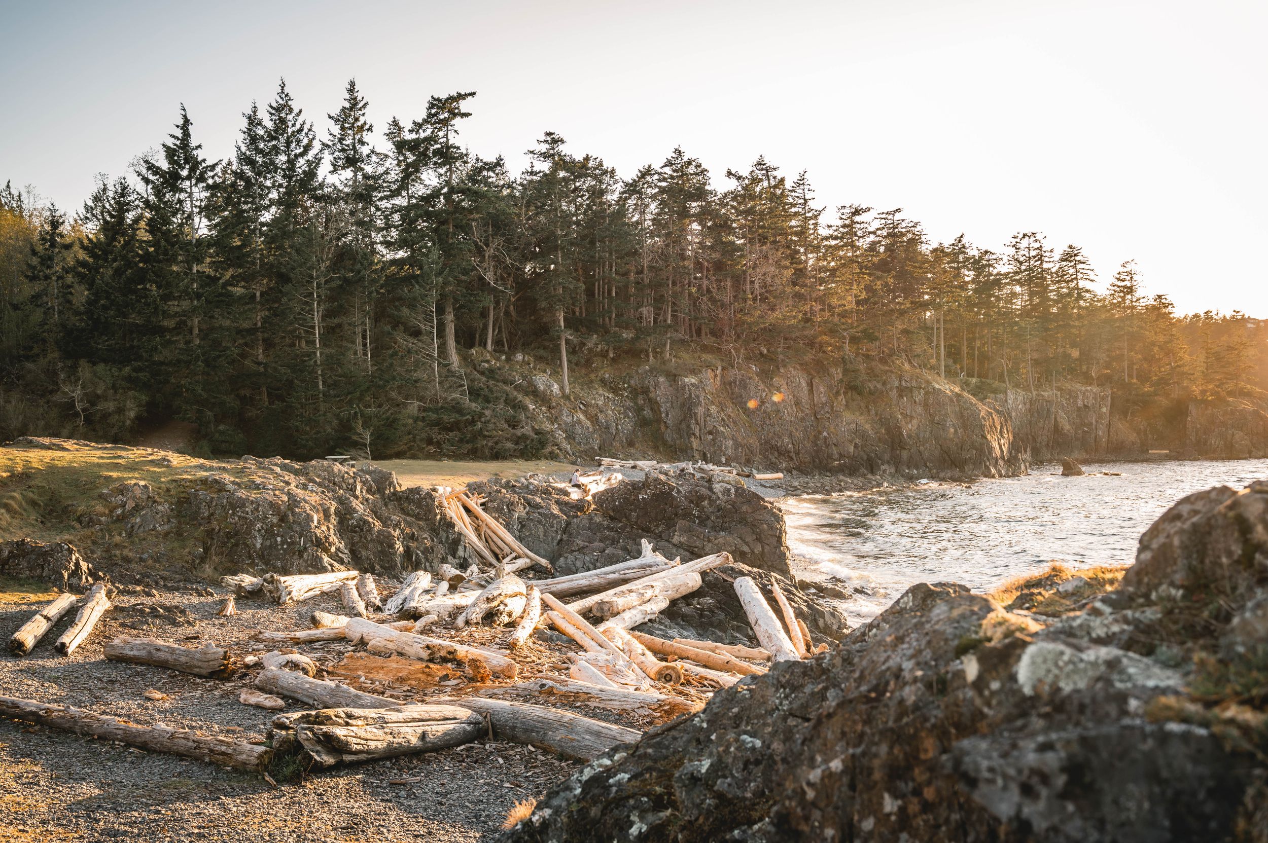 Top 10 Nanaimo Hikes Driftwoods Photography Vancouver Island