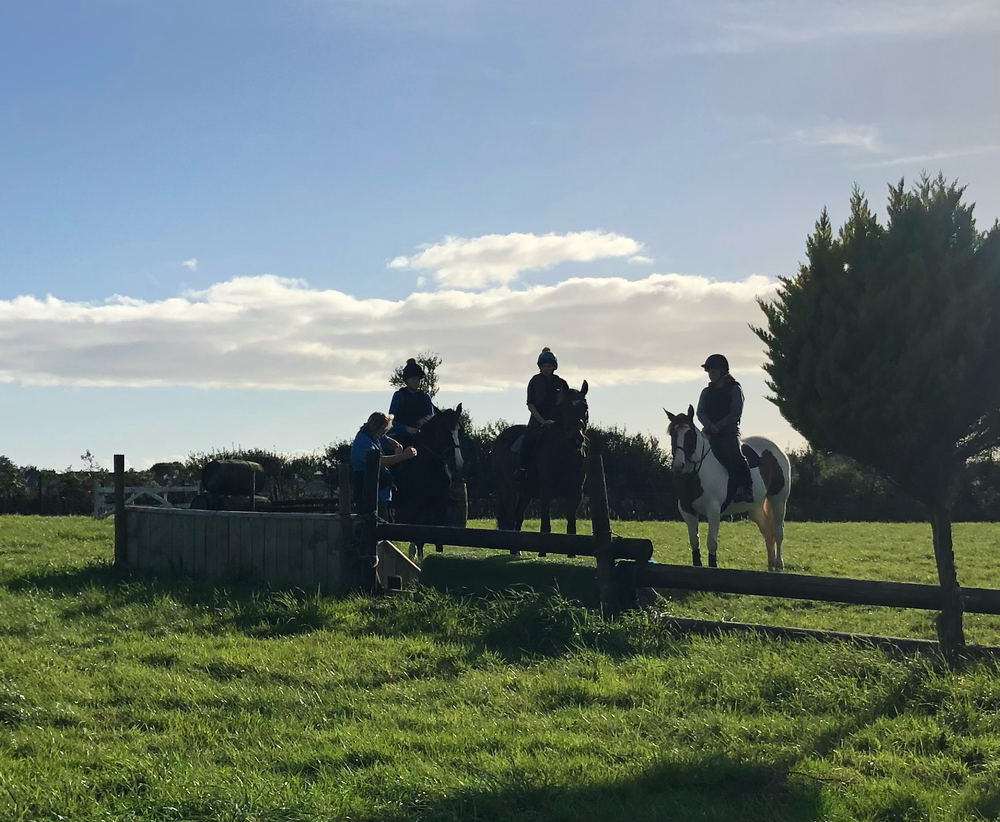 Gower Riding Club
