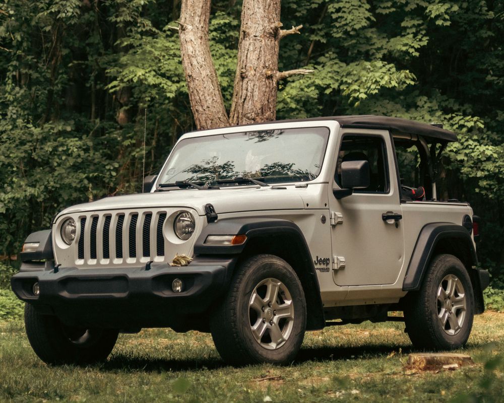 a white jeep wrangler in a forest