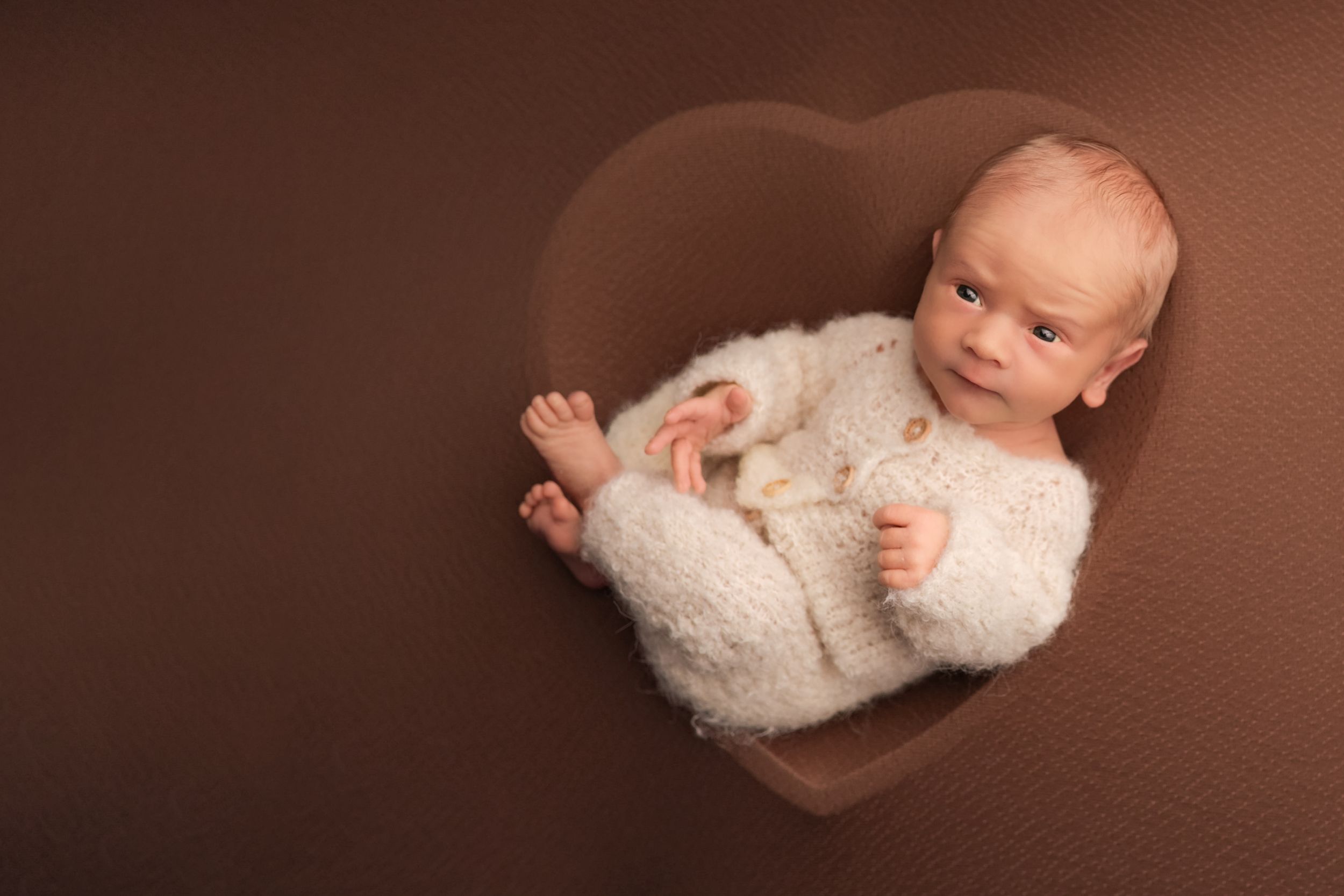 newborn lifestyle photos illinois