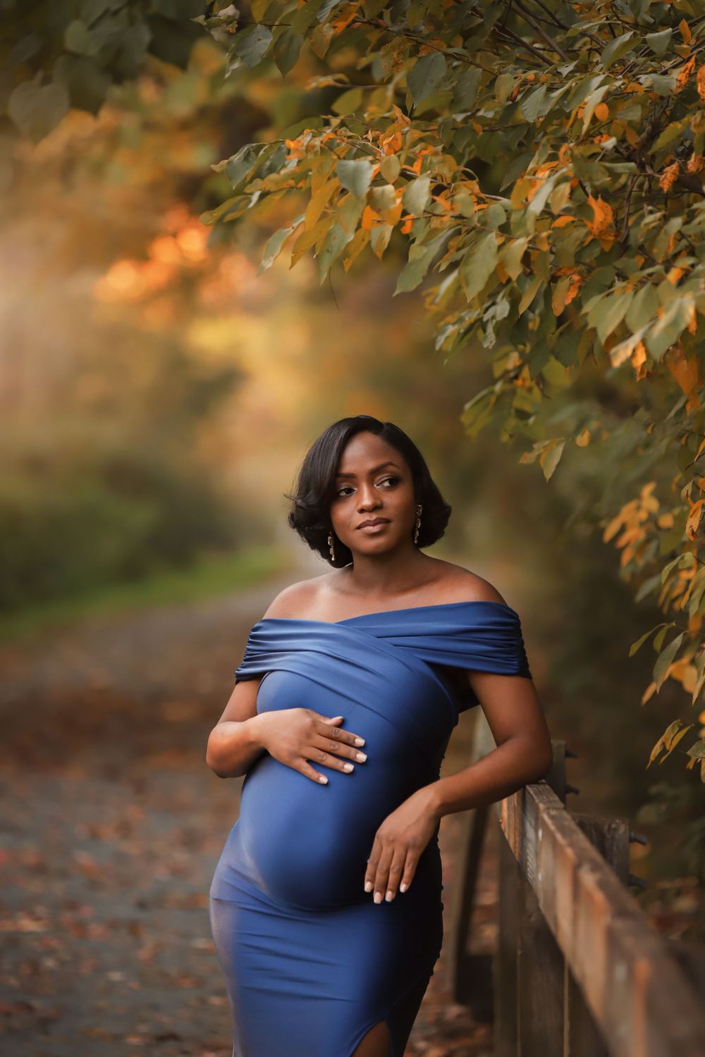 Fine art outdoor Maternity portrait in Fall with long dress and leaves