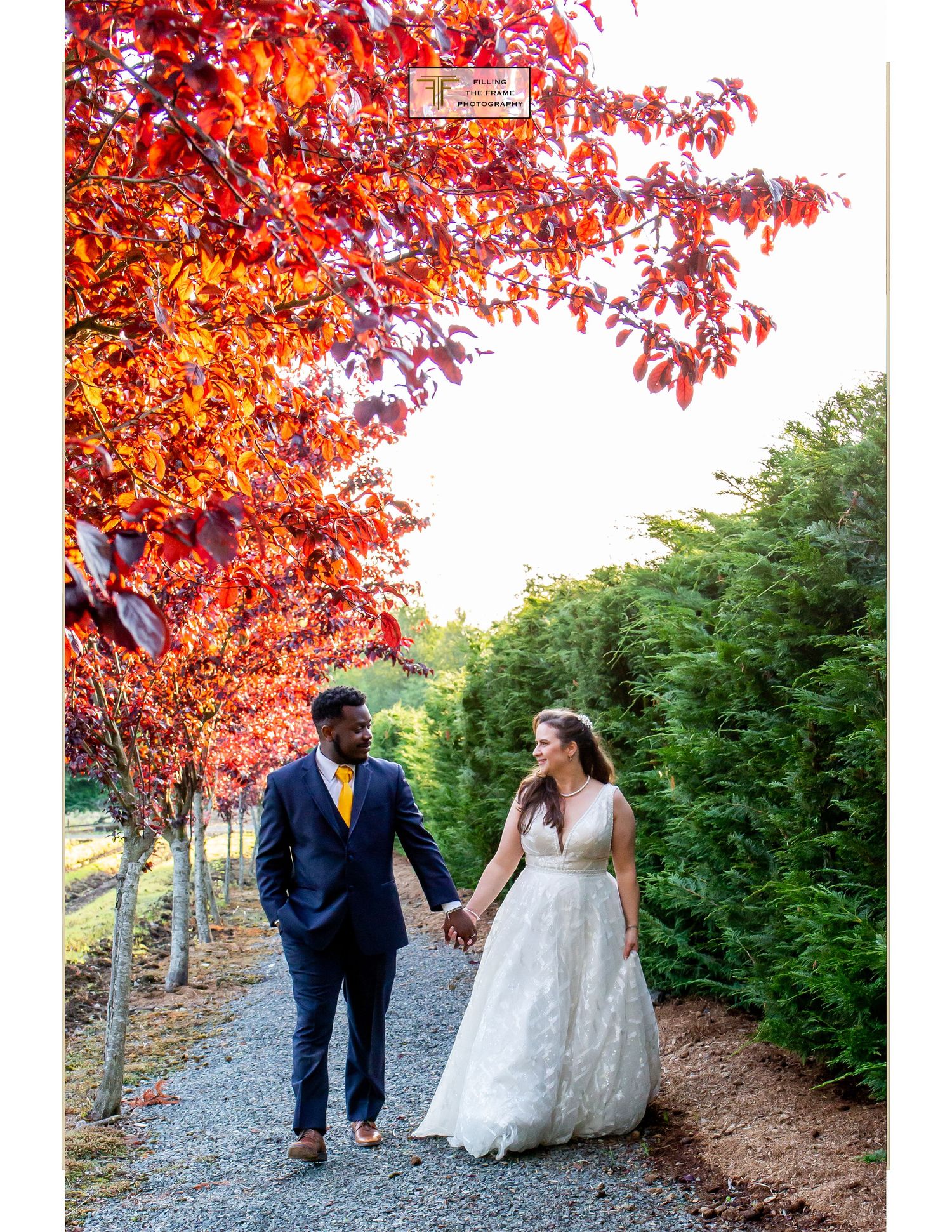 A couple walks hand in hand beneath vibrant red autumn trees on a gravel path.