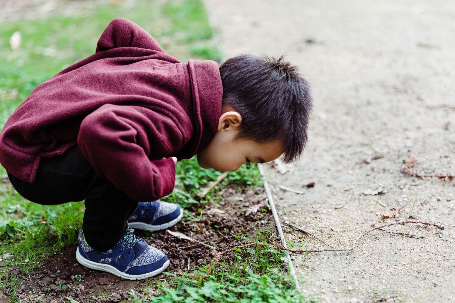 Child in burgundy hoodie exploring and looking closely at something on the ground outdoors.