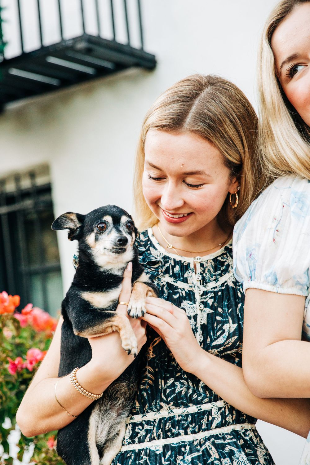 Woman holding small black and tan Chihuahua mix dog near flowering bushes.