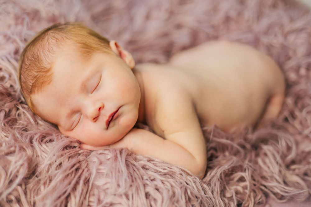 Peaceful sleeping newborn resting on plush mauve blanket during photography session.