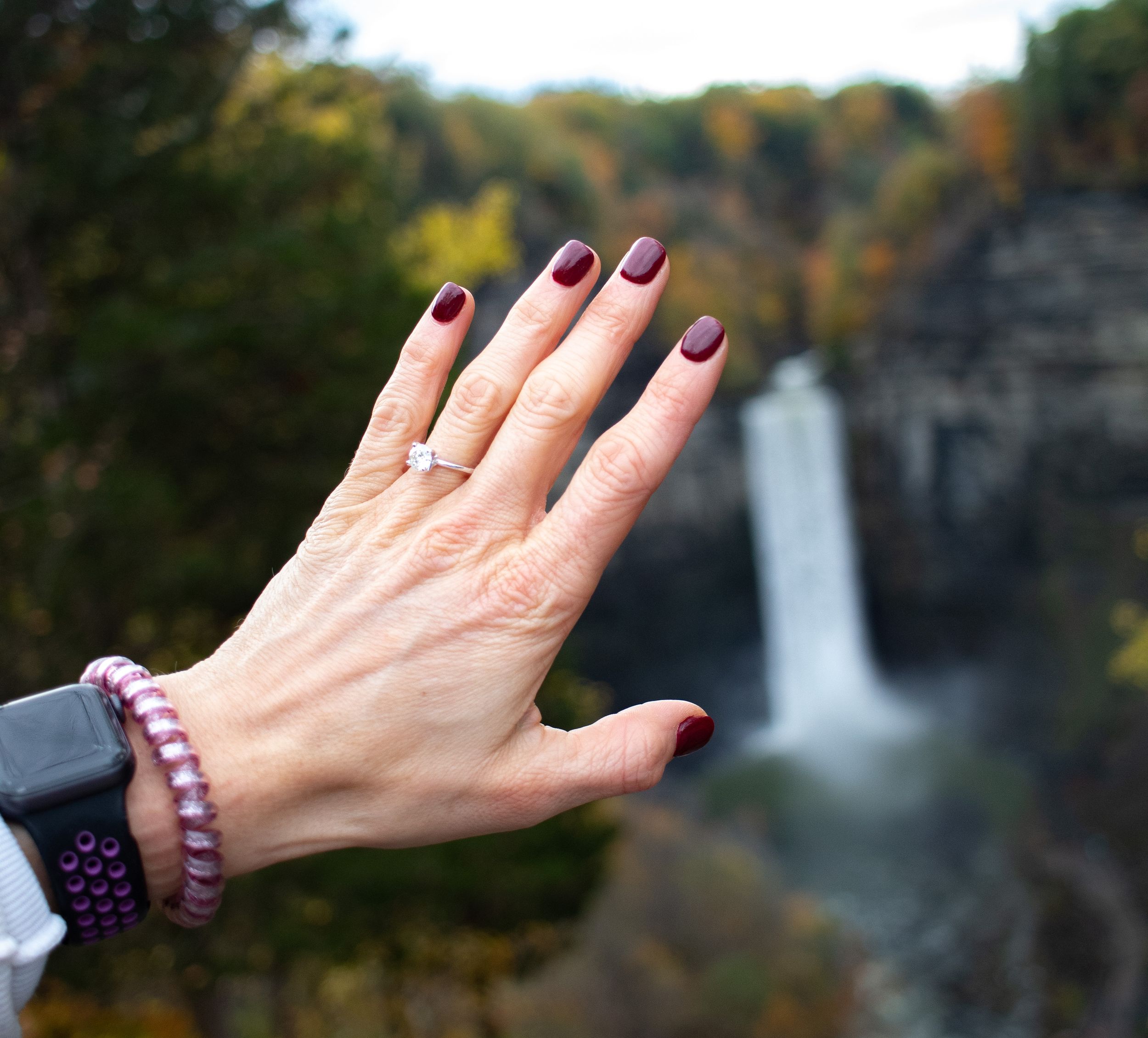 Engagement Portraits Taughannock Falls, NY