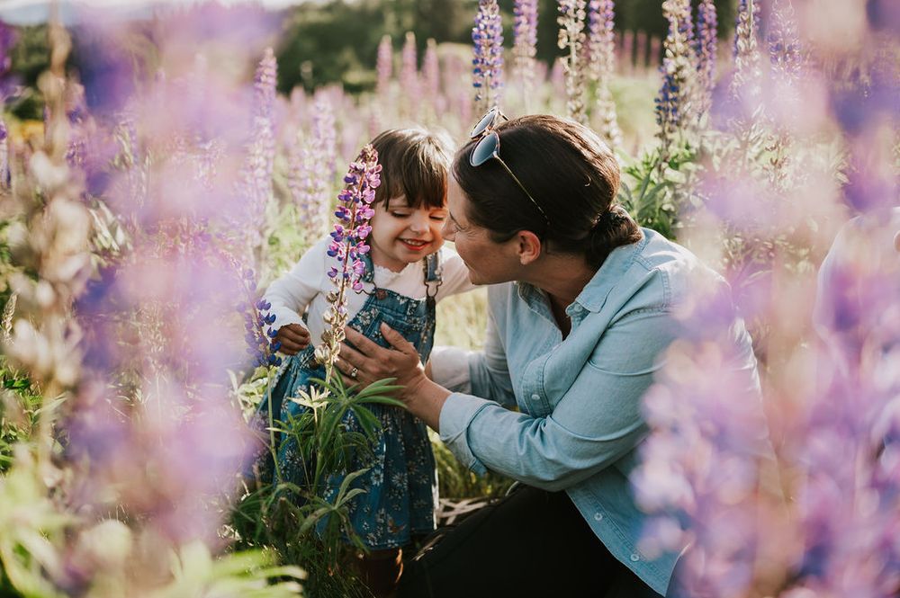 Mom holding young daughter in lupine field in Comox Valley. Photography by Photographer Soulfull Photographs