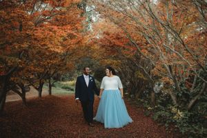 Turpentine Tree Bilpin Wedding Photography