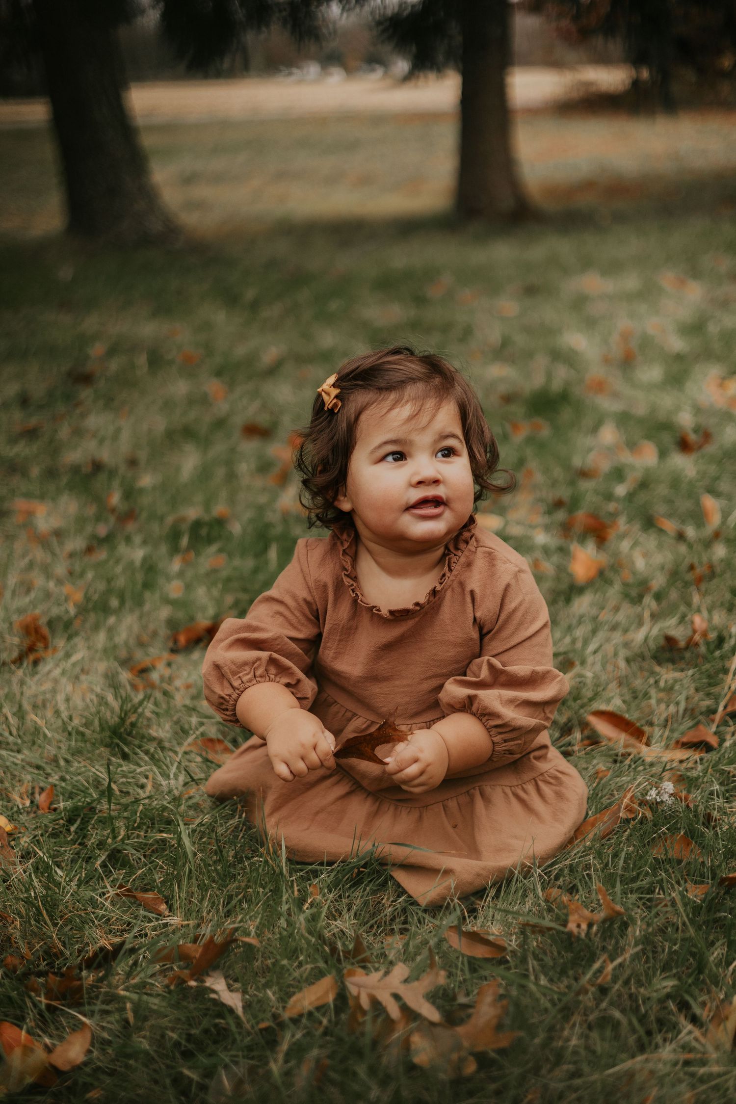 south jersey christmas mini session