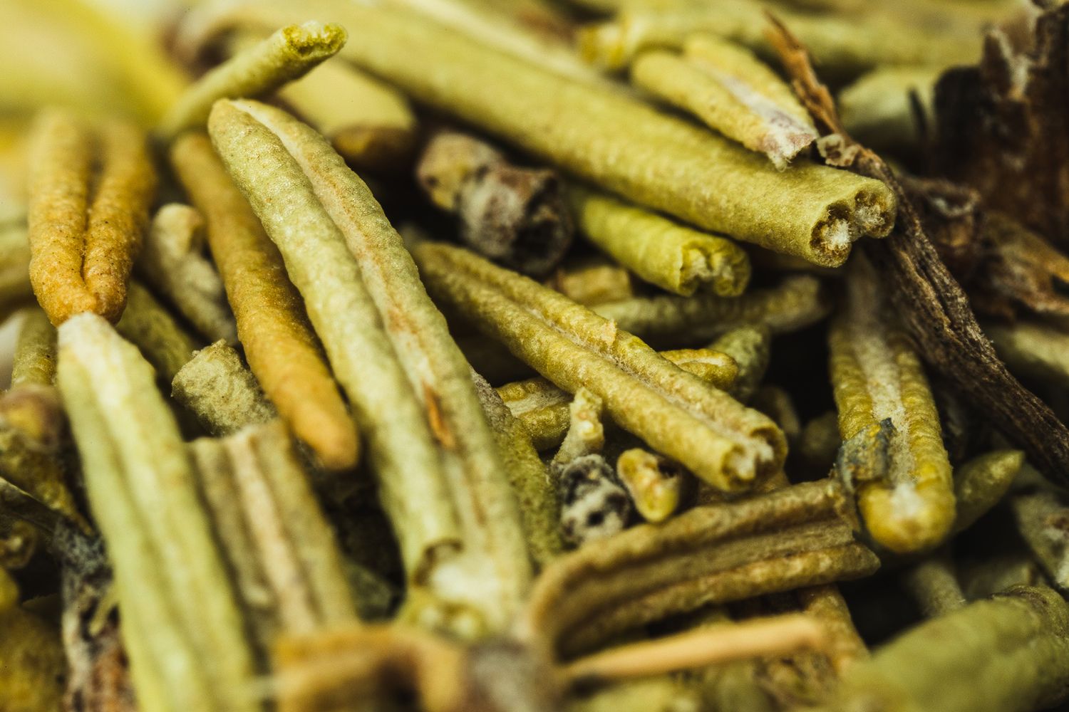Dried okra pods arranged in a pile showing natural texture and patterns.