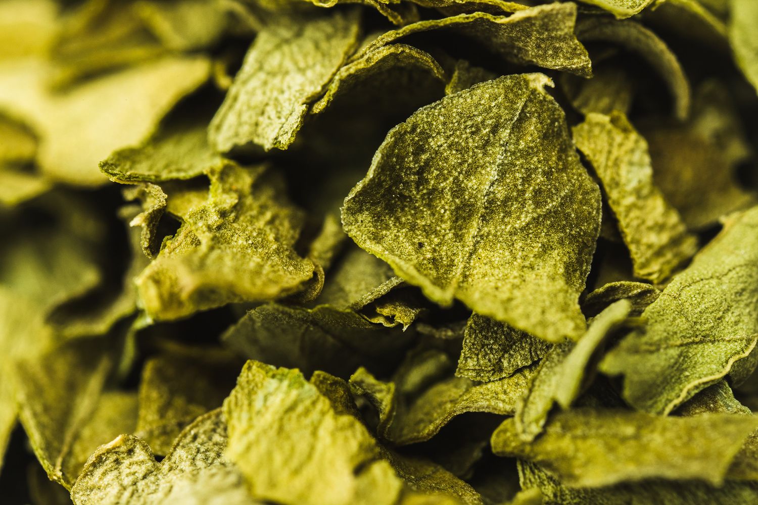 Macro view of dried green herbs showing detailed leaf texture and patterns.