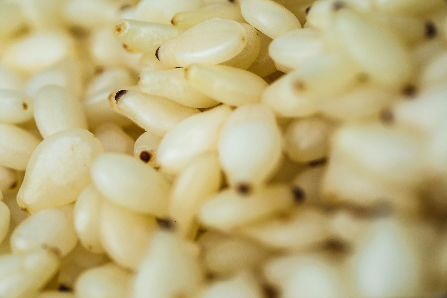 Close-up of white rice grains showing their elongated shape and texture.
