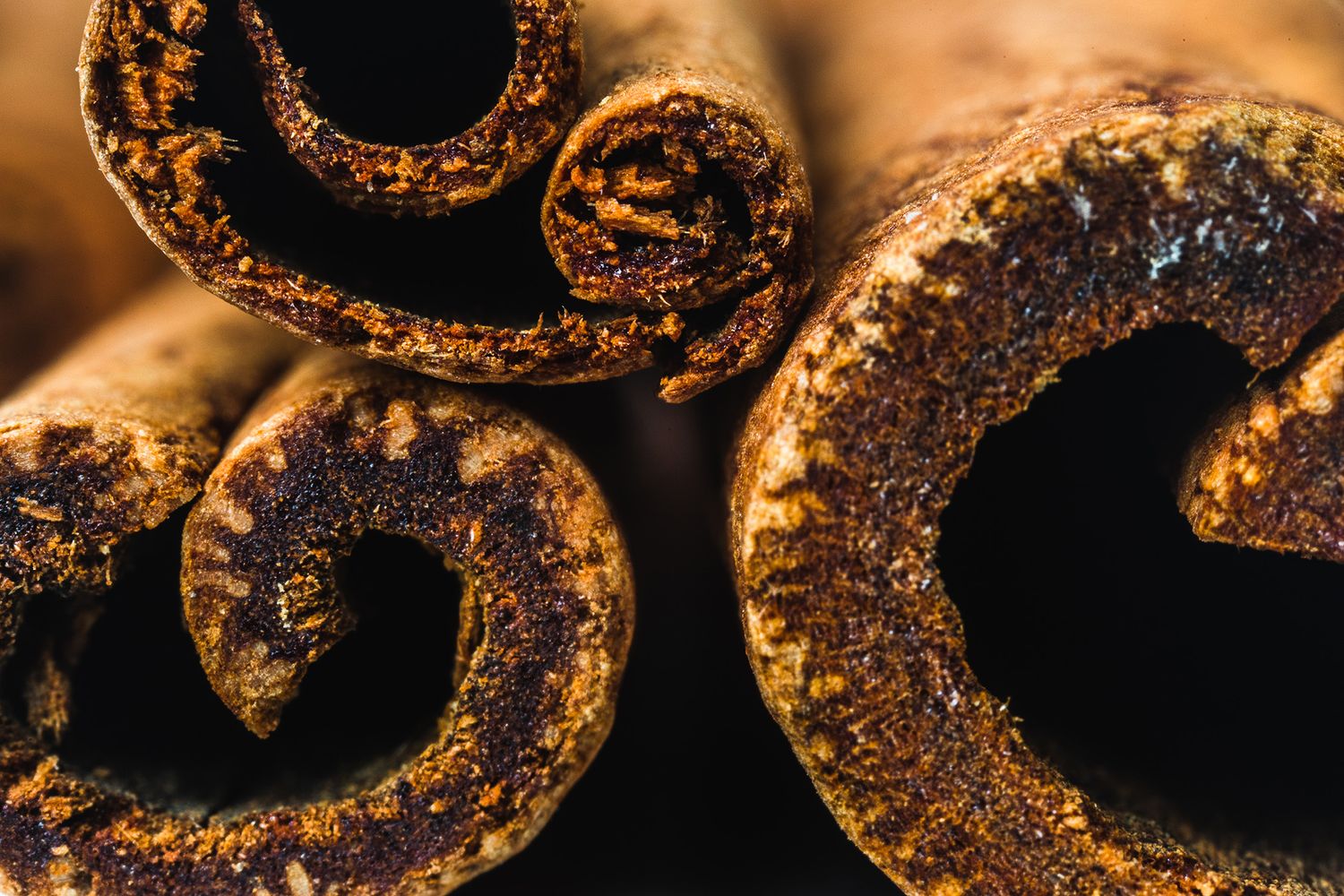 Extreme close-up of cinnamon sticks showing rich brown textured spirals with warm lighting.