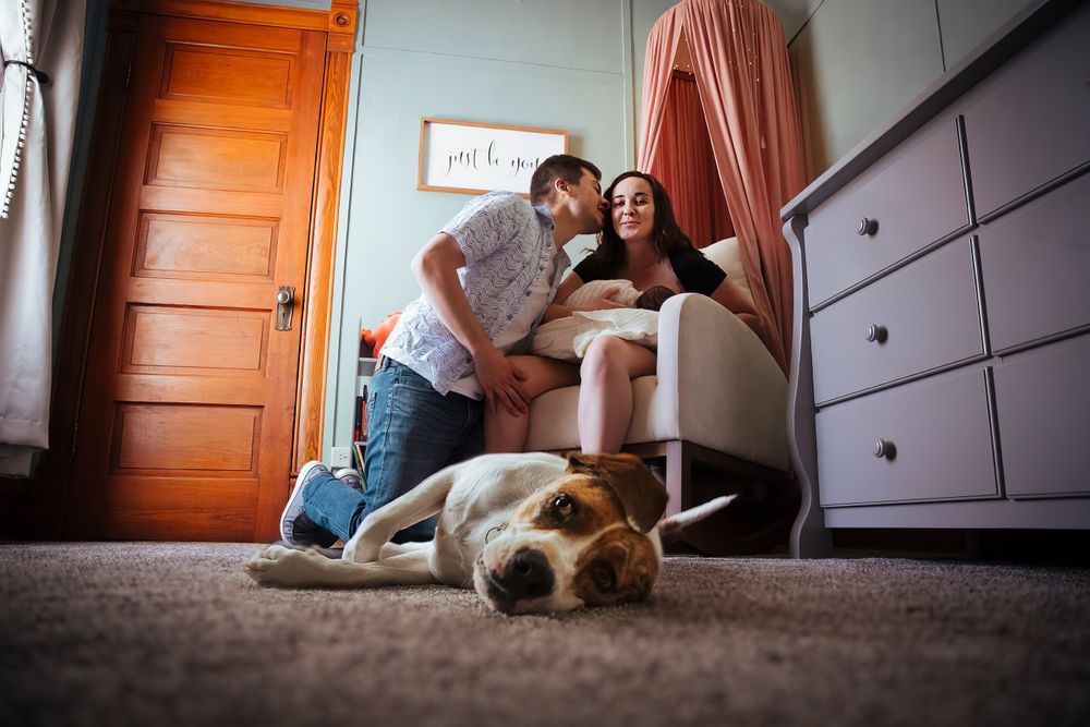 New parents sitting behind very tired dog in nursery.