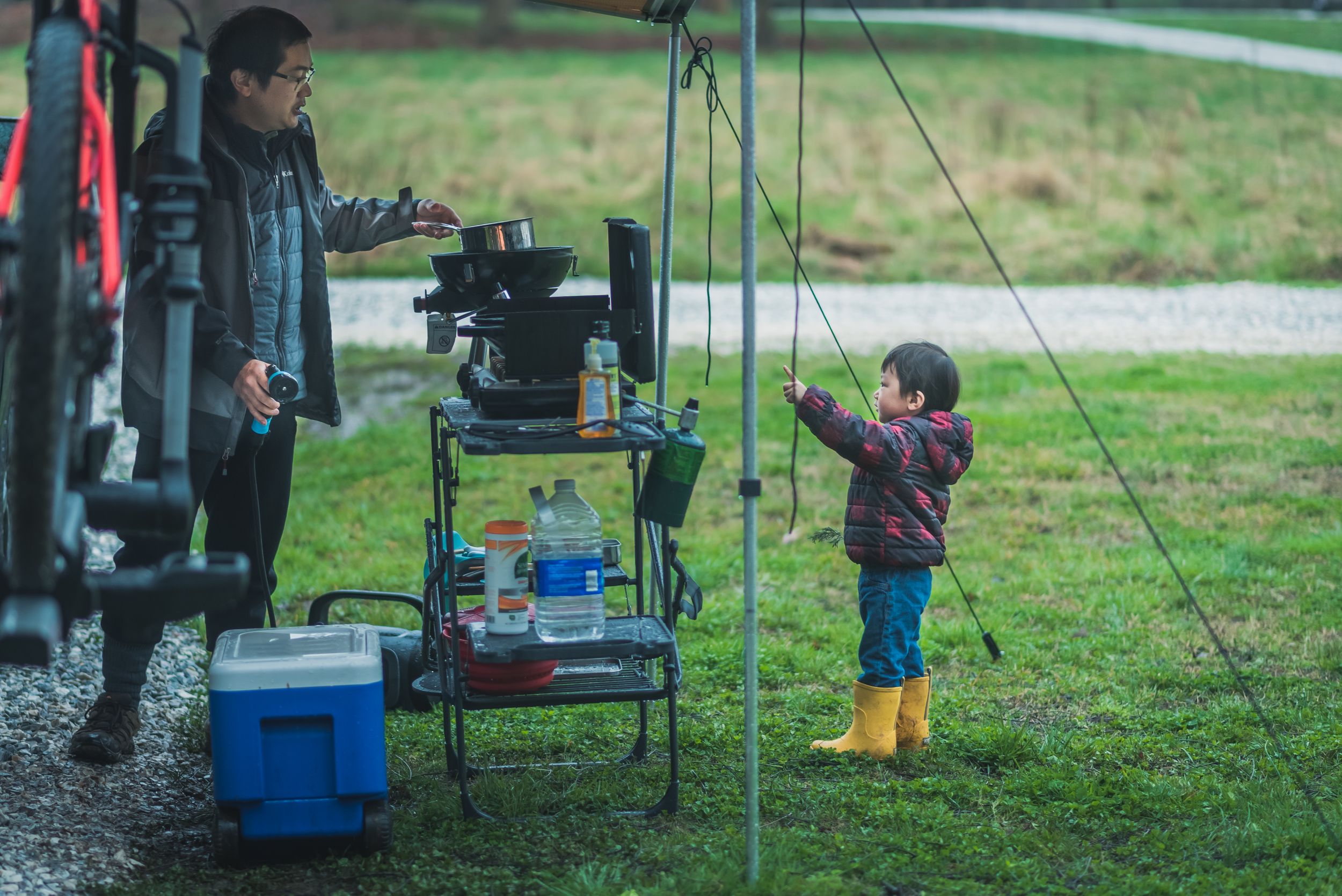 The 365 Photo Project A Year in Snapshots Evergreen Family