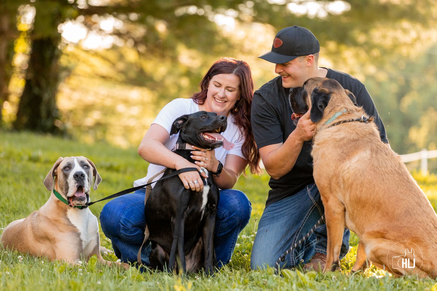 Group of happy dogs and their owners enjoying outdoor time together.
