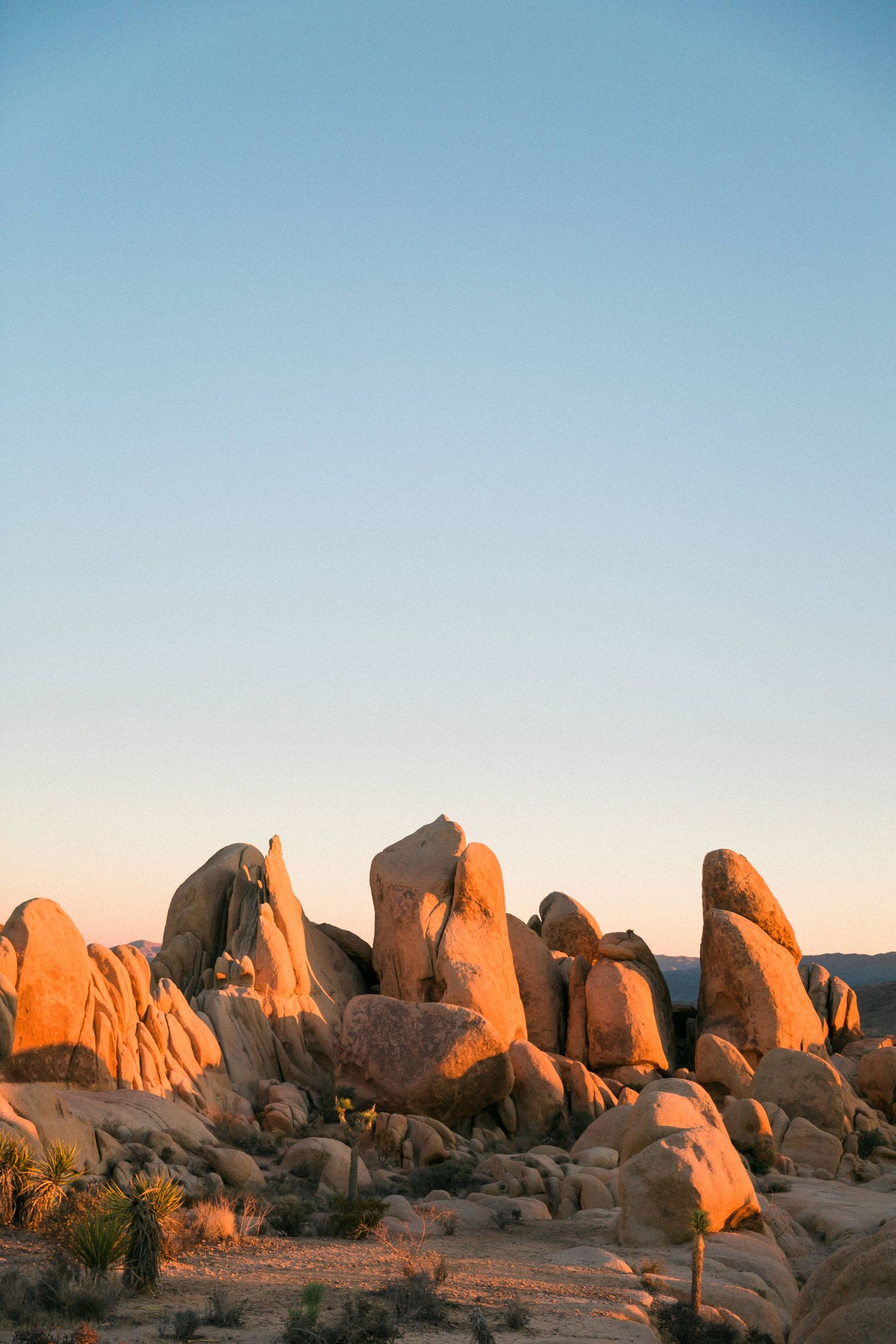 Hayley Elizabeth Wedding Photography Joshua Tree National Park California