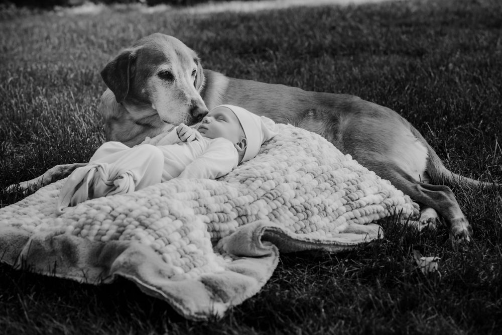 Molly VanDamme Photography Senior Photo Madison, WI Verona, WI Middleton, WI Senior Photographer Family Photography Family Films