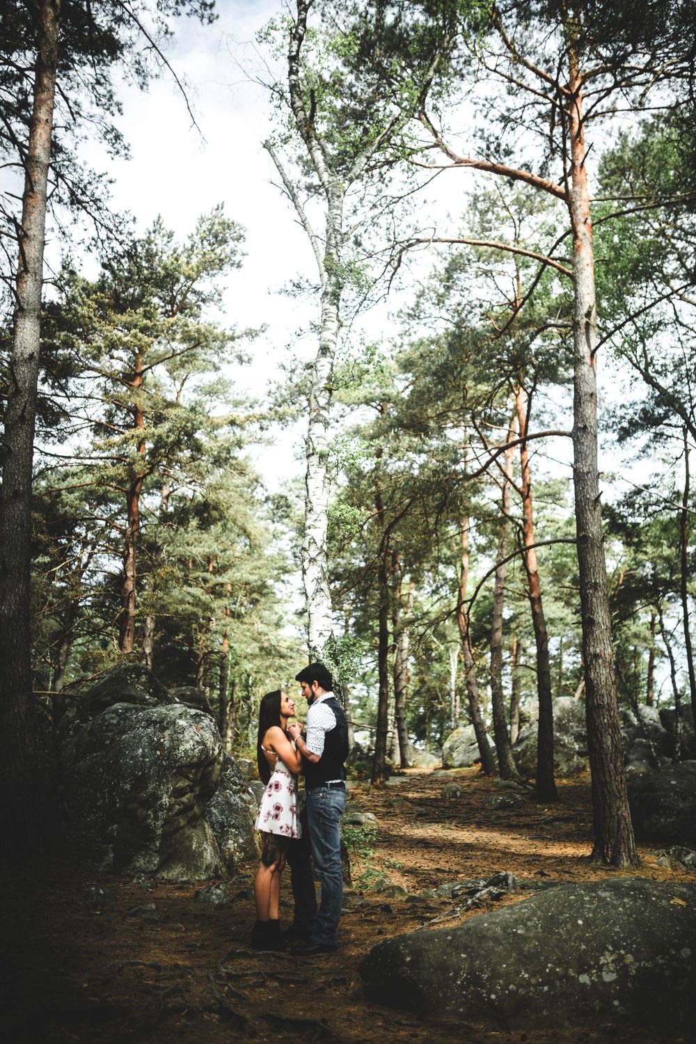 Romantic forest scene with tall pine trees and large boulders on a winding dirt path.