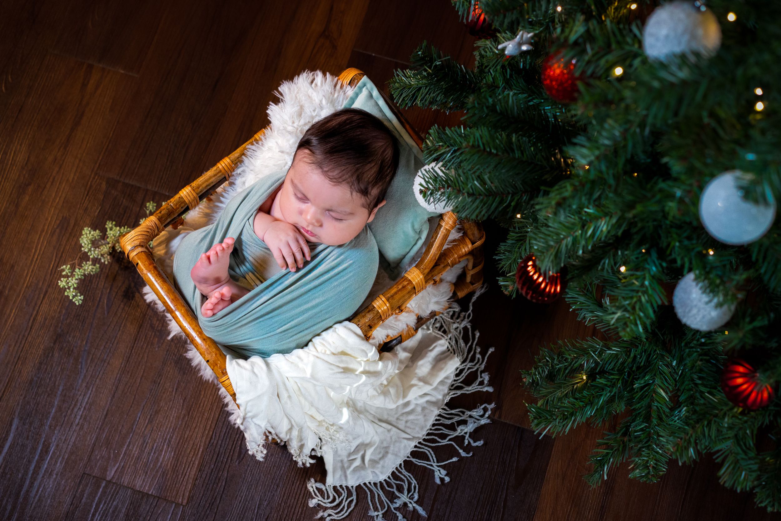 Charlotte Newborn Photographer