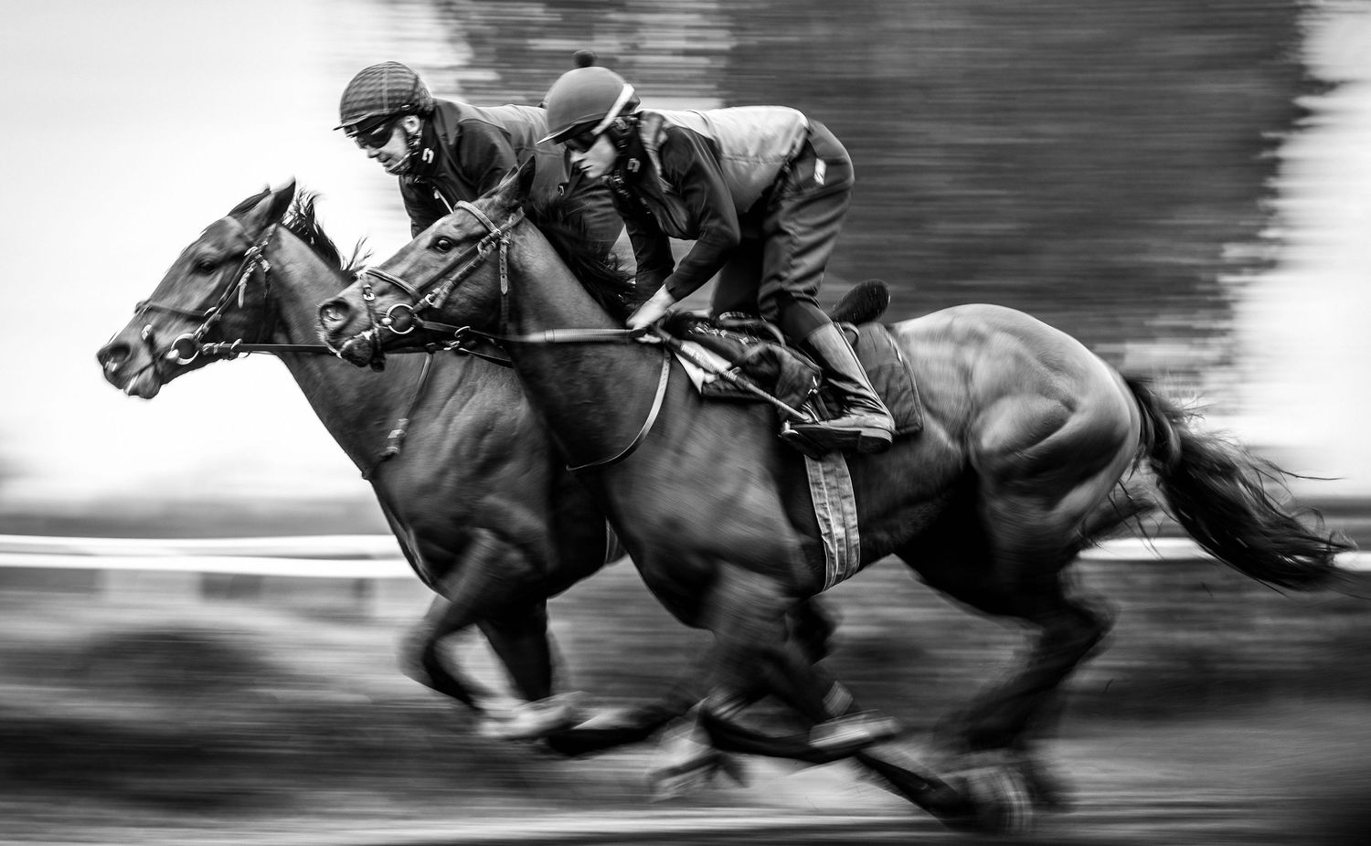 Horse racing action shot in black and white showing intense competition at full gallop.