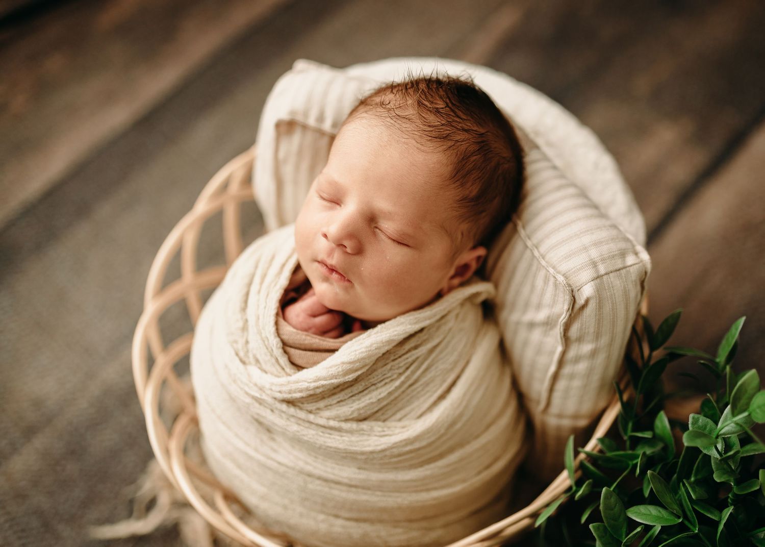 Waverly, NY Newborn Photographer Everlasting Impressions Photography