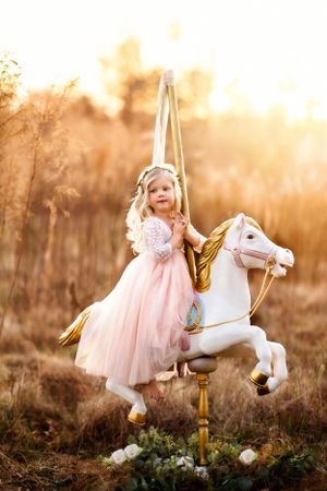 Child in pink tulle dress riding decorative carousel horse in golden field.