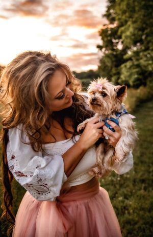 A sweet moment captured with a small Yorkshire Terrier puppy in a dreamy sunset setting.