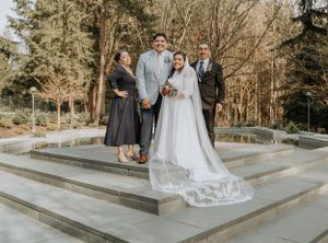 Formal wedding party portrait on tiered concrete steps with forest backdrop.
