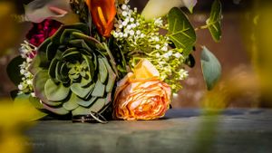 Close-up of succulent and peach rose wedding floral arrangement in soft focus.
