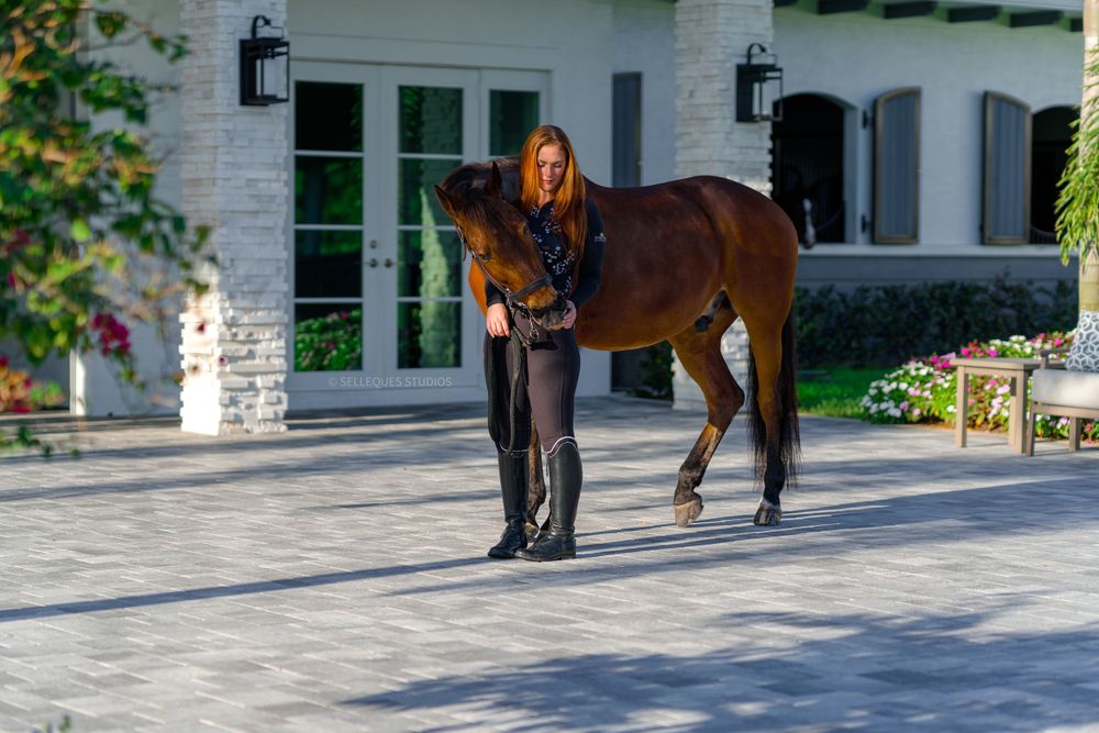 Handler leading bay horse along stone walkway in front of white house.